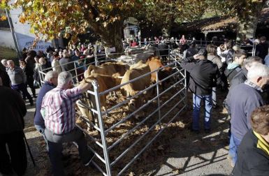 Cientos de puestos de venta, una exposición de maquinaria agrícola y la elegancia de una ganadería.