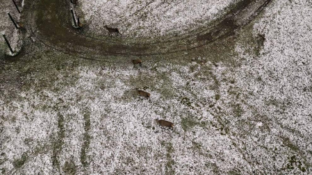 Imágenes de Navarra tomadas por el dron de Alfonso Meléndez.