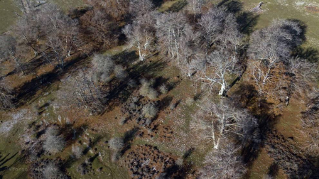 Imágenes de Navarra tomadas por el dron de Alfonso Meléndez.