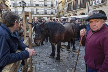 Estella honra a su patrón