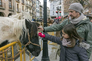 Estella honra a su patrón