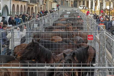 Estella honra a su patrón