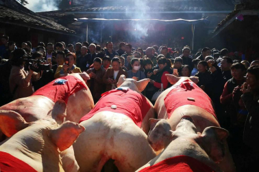 Las imágenes más llamativas de las últimas horas