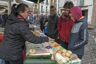 Estella honra a su patrón