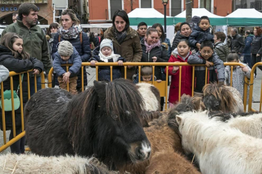 Estella honra a su patrón