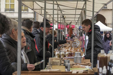 Estella honra a su patrón
