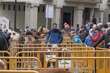 Estella honra a su patrón