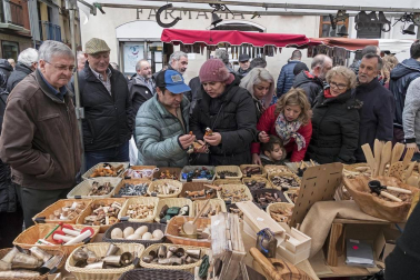 Estella honra a su patrón