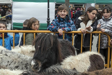 Estella honra a su patrón