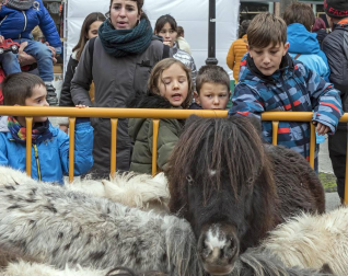 Estella honra a su patrón
