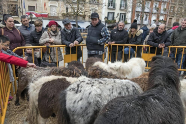 Estella honra a su patrón