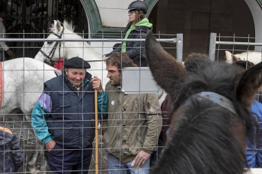 Estella honra a su patrón