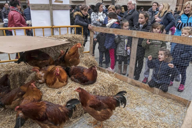 Estella honra a su patrón