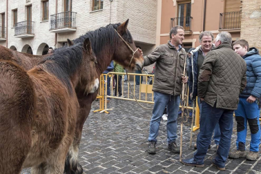 Estella honra a su patrón