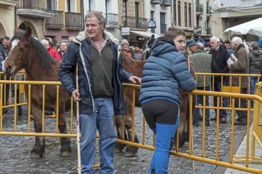 Estella honra a su patrón