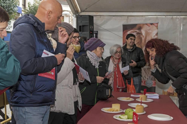 Estella honra a su patrón