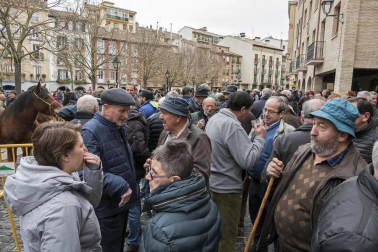 Estella honra a su patrón