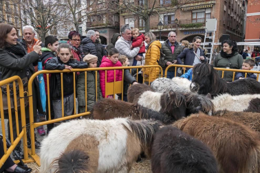 Estella honra a su patrón
