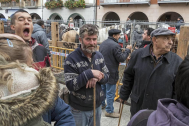 Estella honra a su patrón