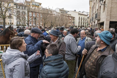 Estella honra a su patrón