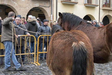 Estella honra a su patrón