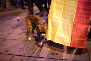 Representantes de asociaciones del cuerpo policial pidieron en la capital navarra que la trasferencia de competencias no les obligue a abandonar la Comunidad foral.