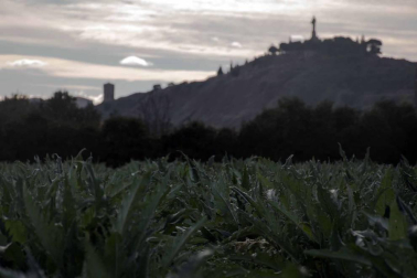 El concurso de fotografía Fototuitribera dedicó su último reto a las Jornadas de Verduras de Invierno que se están celebrando
