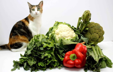 El concurso de fotografía Fototuitribera dedicó su último reto a las Jornadas de Verduras de Invierno que se están celebrando