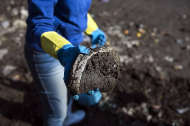 Cientos de voluntarios sacaron más de 1000 bolsas con restos de plástico en una hornada de limpieza el río a su paso por la capital egipcia.