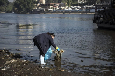 Cientos de voluntarios sacaron más de 1000 bolsas con restos de plástico en una hornada de limpieza el río a su paso por la capital egipcia.