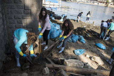 Cientos de voluntarios sacaron más de 1000 bolsas con restos de plástico en una hornada de limpieza el río a su paso por la capital egipcia.