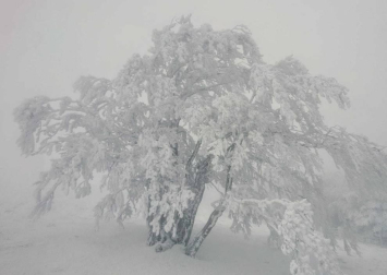 El invierno, retratado por los lectores de Diariodenavarra.es.