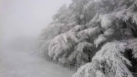 El invierno, retratado por los lectores de Diariodenavarra.es.