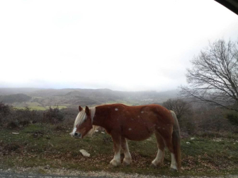 El invierno, retratado por los lectores de Diariodenavarra.es.