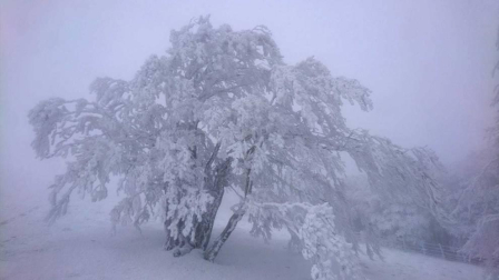 El invierno, retratado por los lectores de Diariodenavarra.es.