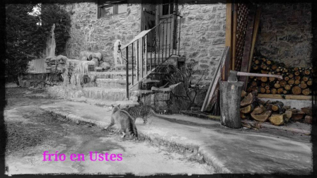 El invierno, retratado por los lectores de Diariodenavarra.es.
