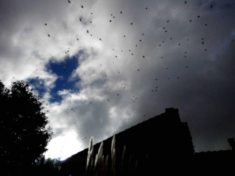 El invierno, retratado por los lectores de Diariodenavarra.es.