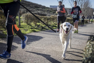 Más de 800 corredores participaron este domingo en la VI San Silvestre de Artica para ayudar a la niña Nerea.