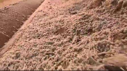 Alerta en veintiocho provincias por la ola de frío