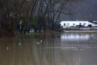 La alerta por nieve afecta al centro y al norte de la Comunidad foral