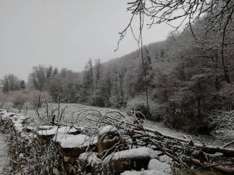 La nieve ha cuajado ya en el norte de Navarra y por la noche se prevé que llegue a Pamplona