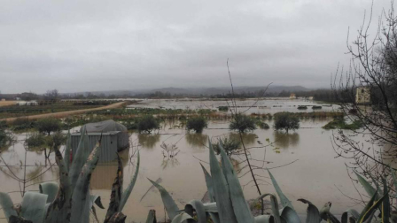 Fotos del temporal en Navarra de los lectores