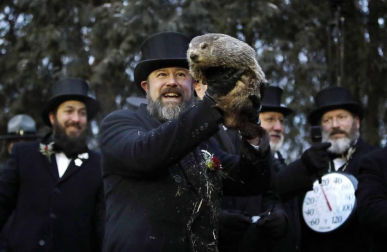 Fotos del día de la marmota 2019. Phil salió una vez más de su refugio para predecir una primavera anticipada.