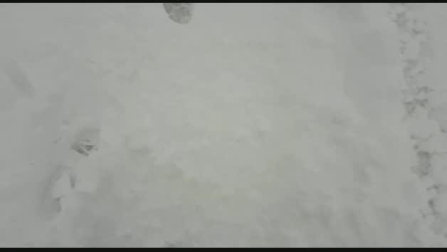 La nieve alcanza los 10 cm en la carretera NA214 Navascués- Burgui