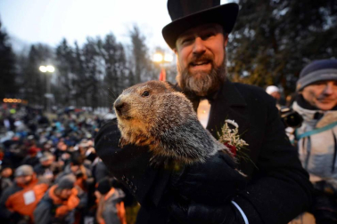Fotos del día de la marmota 2019. Phil salió una vez más de su refugio para predecir una primavera anticipada.