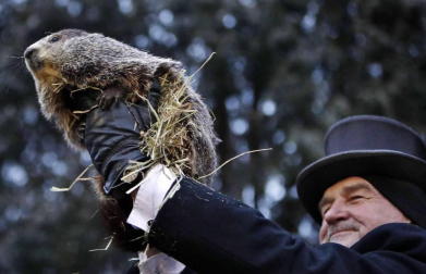 Fotos del día de la marmota 2019. Phil salió una vez más de su refugio para predecir una primavera anticipada.