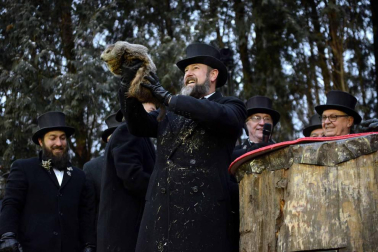 Fotos del día de la marmota 2019. Phil salió una vez más de su refugio para predecir una primavera anticipada.
