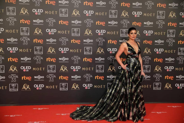 Los primeros invitados a la 33 ceremonia de los Premios Goya han comenzado a llegar a la alfombra roja del Palacio de Exposiciones y Congresos de Sevilla (FIBES) hacia las 18.20 horas de este sábado 2 de febrero