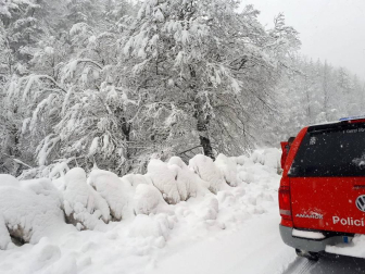 Fotografías del temporal de nieve y lluvia en Navarra, que está provocando dificultades para circular en distintos puntos de la red viaria.
