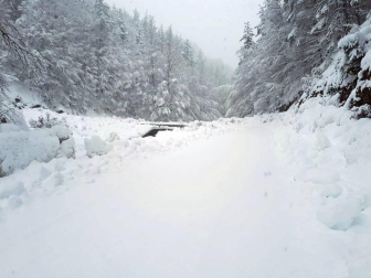Fotografías del temporal de nieve y lluvia en Navarra, que está provocando dificultades para circular en distintos puntos de la red viaria.